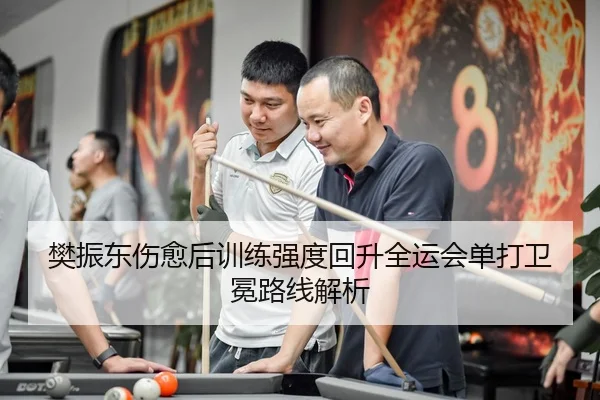 樊振东伤愈后训练强度回升全运会单打卫冕路线解析
