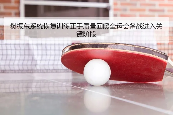 樊振东系统恢复训练正手质量回暖全运会备战进入关键阶段