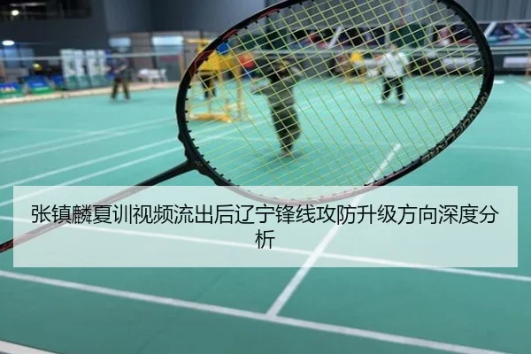 张镇麟夏训视频流出后辽宁锋线攻防升级方向深度分析